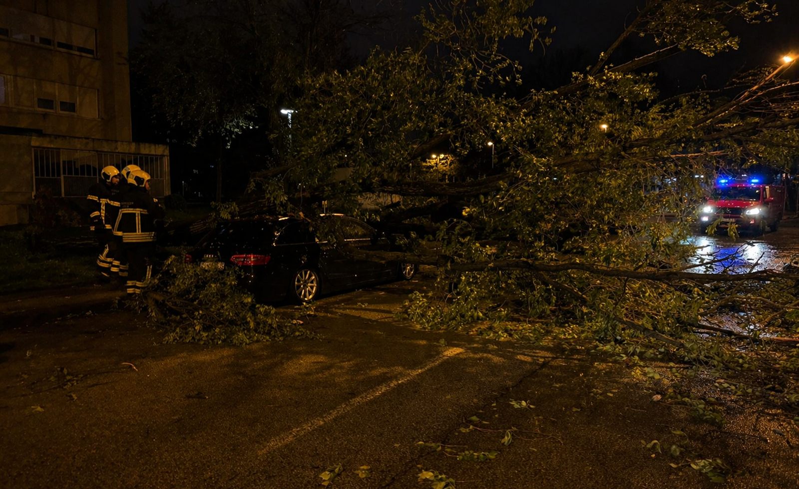 Vatrogasci interveniraju noću nakon što je veliko stablo palo preko parkiranih automobila.